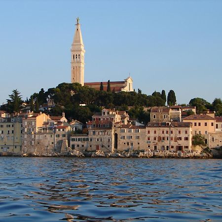 Villa Cissa Apartments By Irundo Rovinj Dış mekan fotoğraf