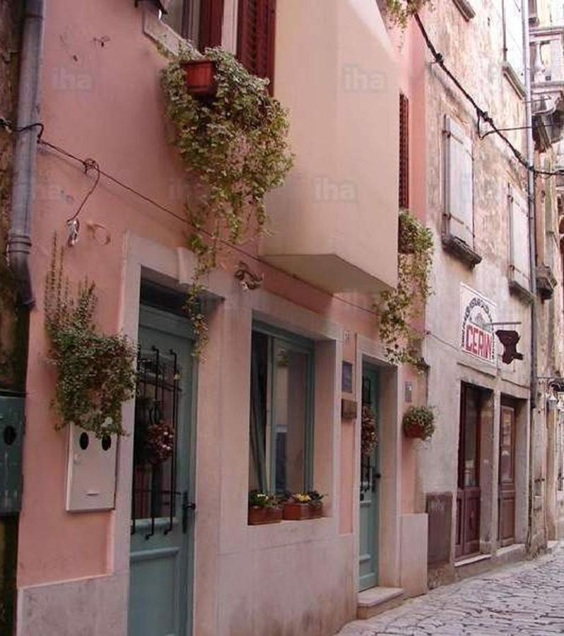 Villa Cissa Apartments By Irundo Rovinj Dış mekan fotoğraf
